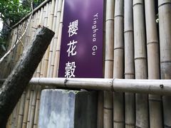 -乐领拈花溪·林涧食韵