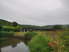 -龙寺生态园