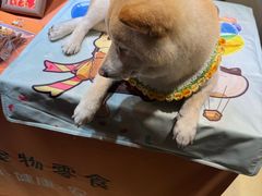 -杭州湖滨in77