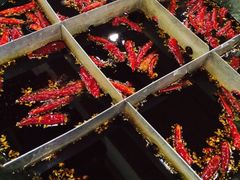 -重庆老火锅王(永陵路分店)