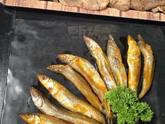 -四斤烤肉(东戴河孟家店)