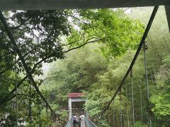 -黄山翡翠谷景区