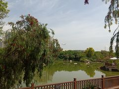 -厦门悦华酒店