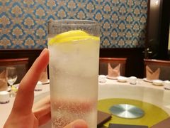 -席家花园(巨鹿花园店)