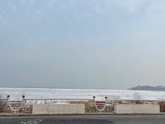 -秦皇岛野生动物园