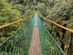 -云南屏边大围山国家公园