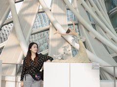 -凤凰中心