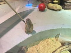 -正佳雨林生态植物园