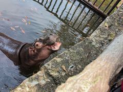 -海南热带野生动植物园