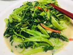 椒丝腐乳炒通菜-金满楼(天河中路店)