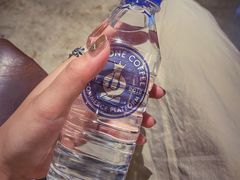 泉阳泉-玖壹咖啡(临河街店)