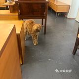 咖啡馆的惬意