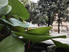 -北京石刻艺术博物馆(五塔寺)