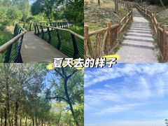 -白水寺森林公园