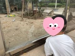 -陕西自然博物馆