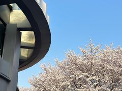 -中興路一號Oriental One