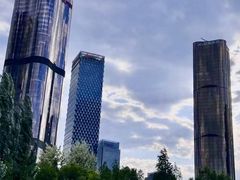 -大望京公园