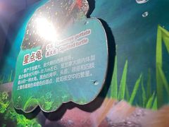 -广州长隆飞鸟乐园