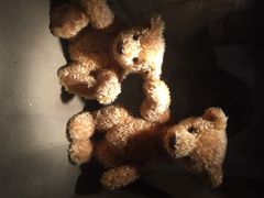 泰迪熊博物馆-济州岛泰迪熊博物馆