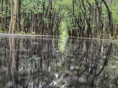 -广富林郊野公园