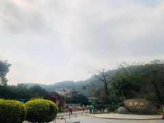 -火炉山森林公园