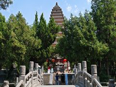 -洛阳白马寺