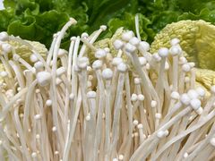 -红鼎豆捞·非遗鲍皇汤火锅(宝丰路店)