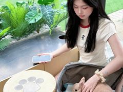 -武汉光谷K11
