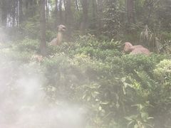 -贵州森林野生动物园