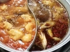 -青瓷火锅料理(西单大悦城店)