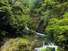 -石台牯牛降景区