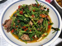 香菜炒牛肉-壹盏灯(蚂蚁工房店)