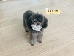 -一伽瑜伽·普拉提