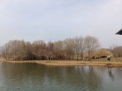 -溱湖国家湿地公园