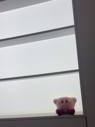 -禾丽康美医疗美容医院