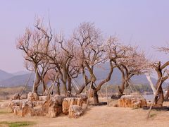 -光福景区