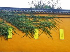 -西园戒幢律寺