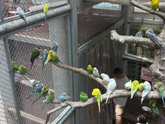 -正佳雨林生态植物园