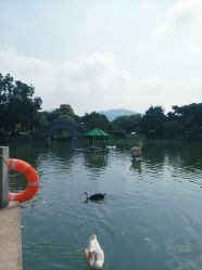 -玄武湖景区-情侣园游乐场