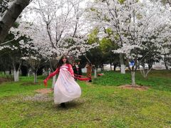-堤角公园