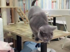 -小时光咖啡馆(开森度假森林店)