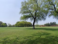 -东方绿舟景区