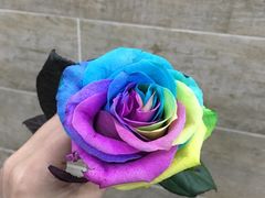 -Butchart布查德鲜花(花艺设计中心)