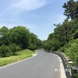 汉唐，还真是一脉相承，建筑外观，民族心性，都是一个脉