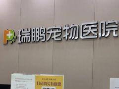 -瑞鹏宠物医院华南总院·夜诊·心脏科·骨科