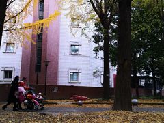 -西南交通大学九里校区-篮球场