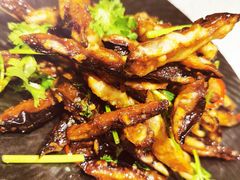 -北京王府井希尔顿酒店·秦唐中餐厅Chynna
