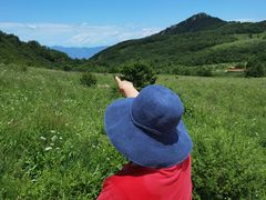 -白草畔自然风景区