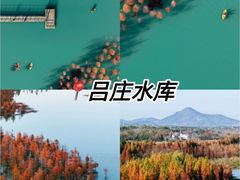 -紫藤园·天目湖大鱼头(南山竹海店)
