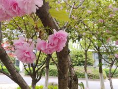 -江南大学(蠡湖校区)